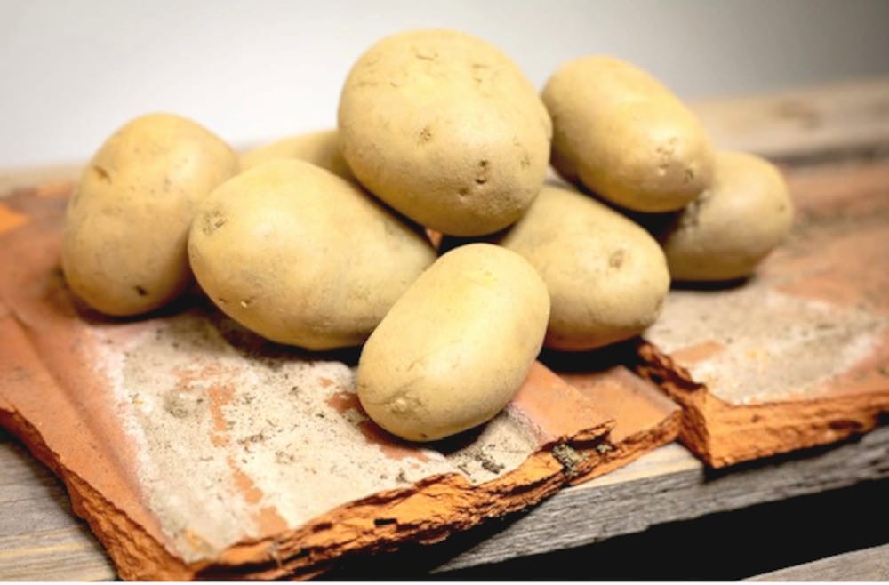 Kartoffel_Reitzer´s Gemüsehof