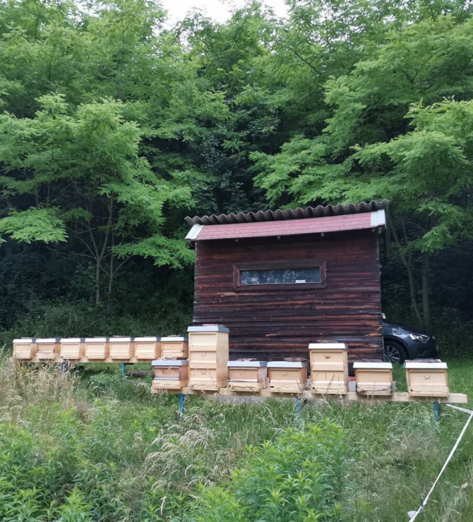 Bienenstock auf der Weide_ Imkerei Widhalm