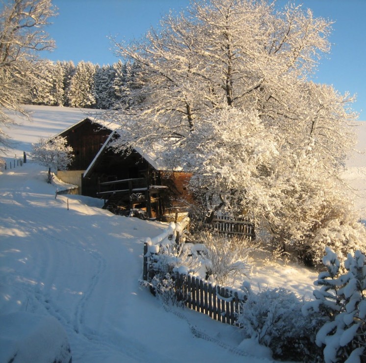 Hofansicht_Winter_Am Froihof