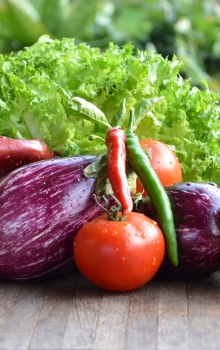 Salat & Rote Paprika & Gelbe Paprika & Tomaten & Aubergine