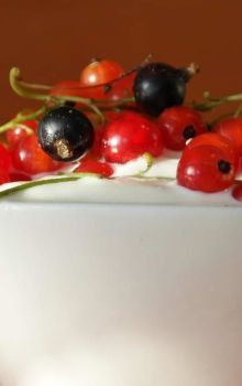 Rote- und schwarze Johannisbeere mit Joghurt
