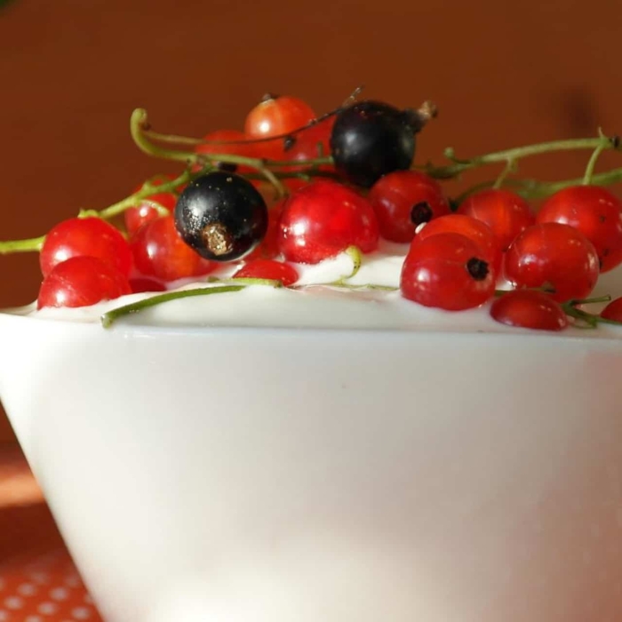 Rote- und schwarze Johannisbeere mit Joghurt