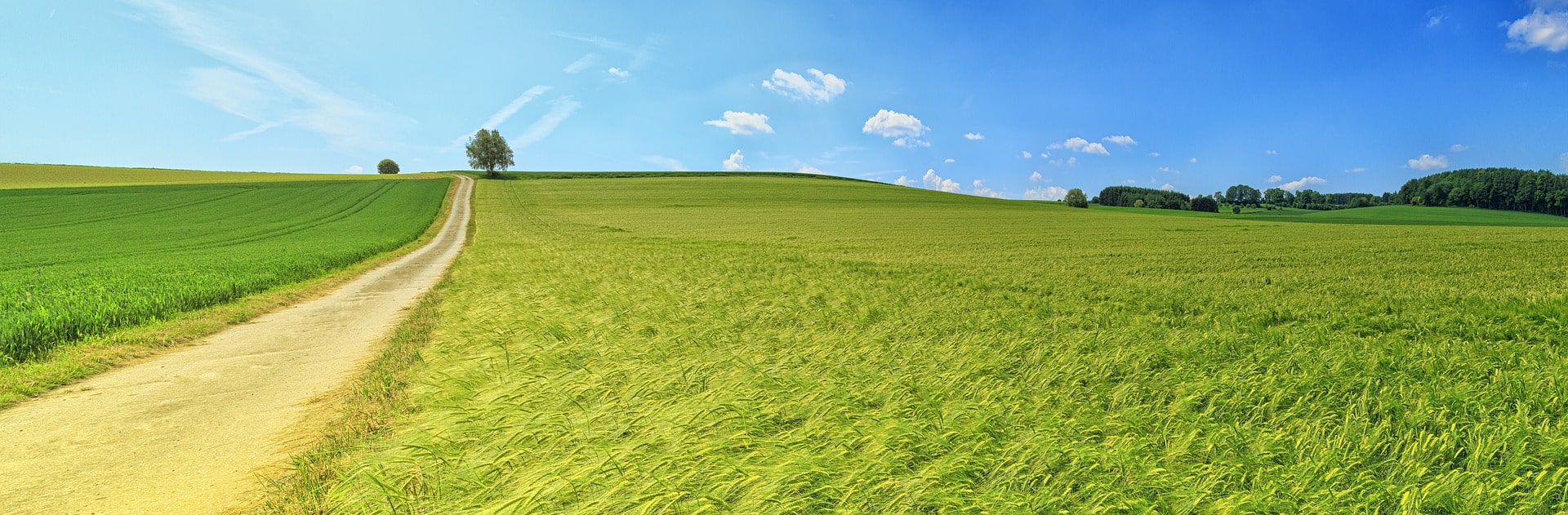 Landschaft Panorama