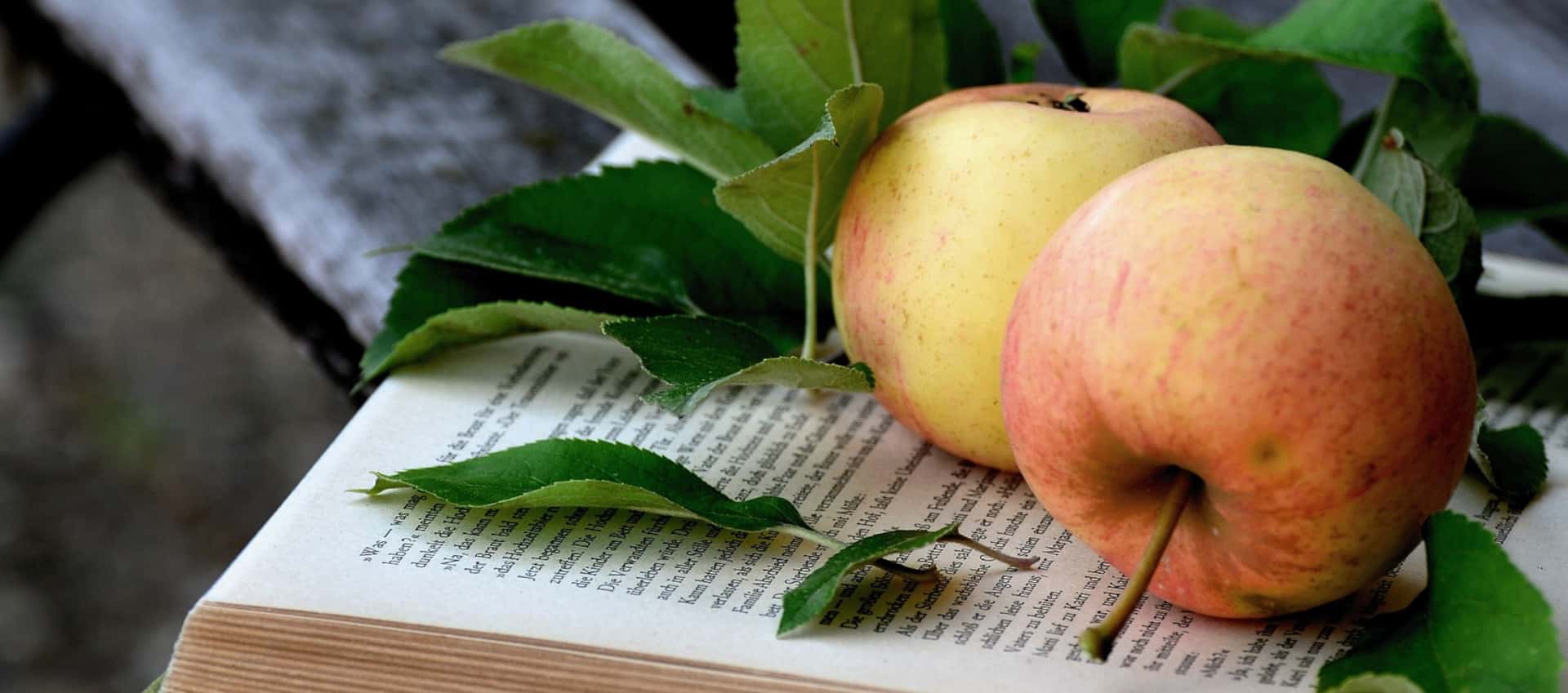 Apfel und Buch