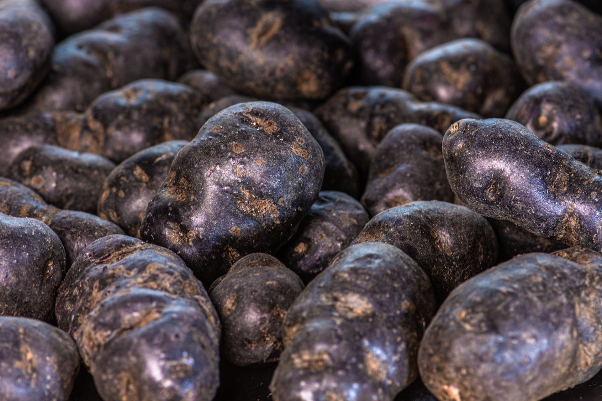 Purple Kartoffeln