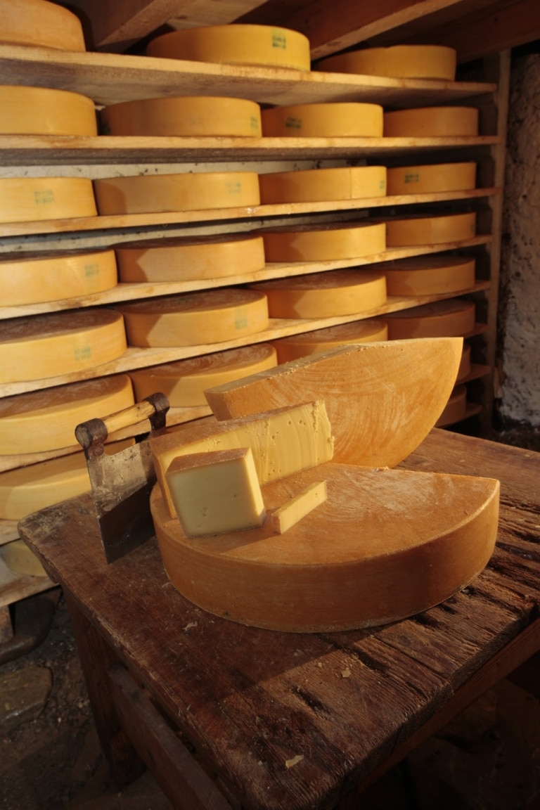Käse-Bregenzer